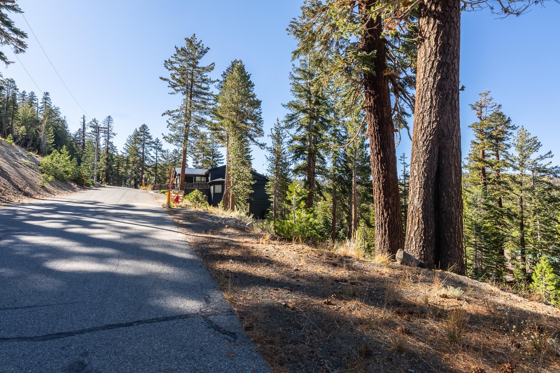 464 John Muir Road Mammoth Lakes, CA 93546 - Photo 11 of 27 a view of street with trees