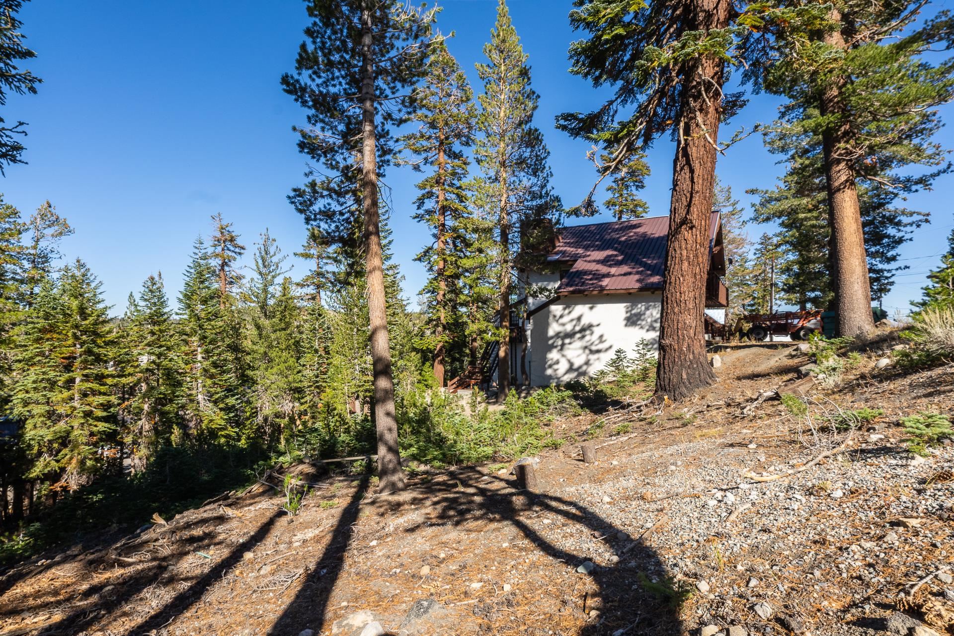 464 John Muir Road Mammoth Lakes, CA 93546 - Photo 15 of 27 a view of a yard with plants