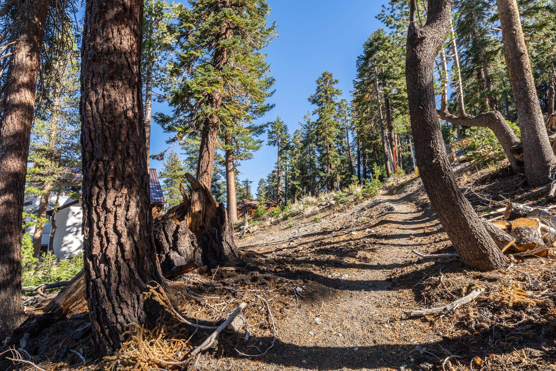 464 John Muir Road Mammoth Lakes, CA 93546 - Photo 16 of 27 a view of a backyard of the house