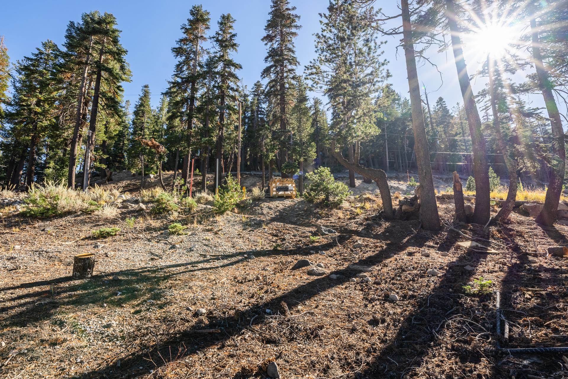 464 John Muir Road Mammoth Lakes, CA 93546 - Photo 17 of 27 a view of a yard with trees