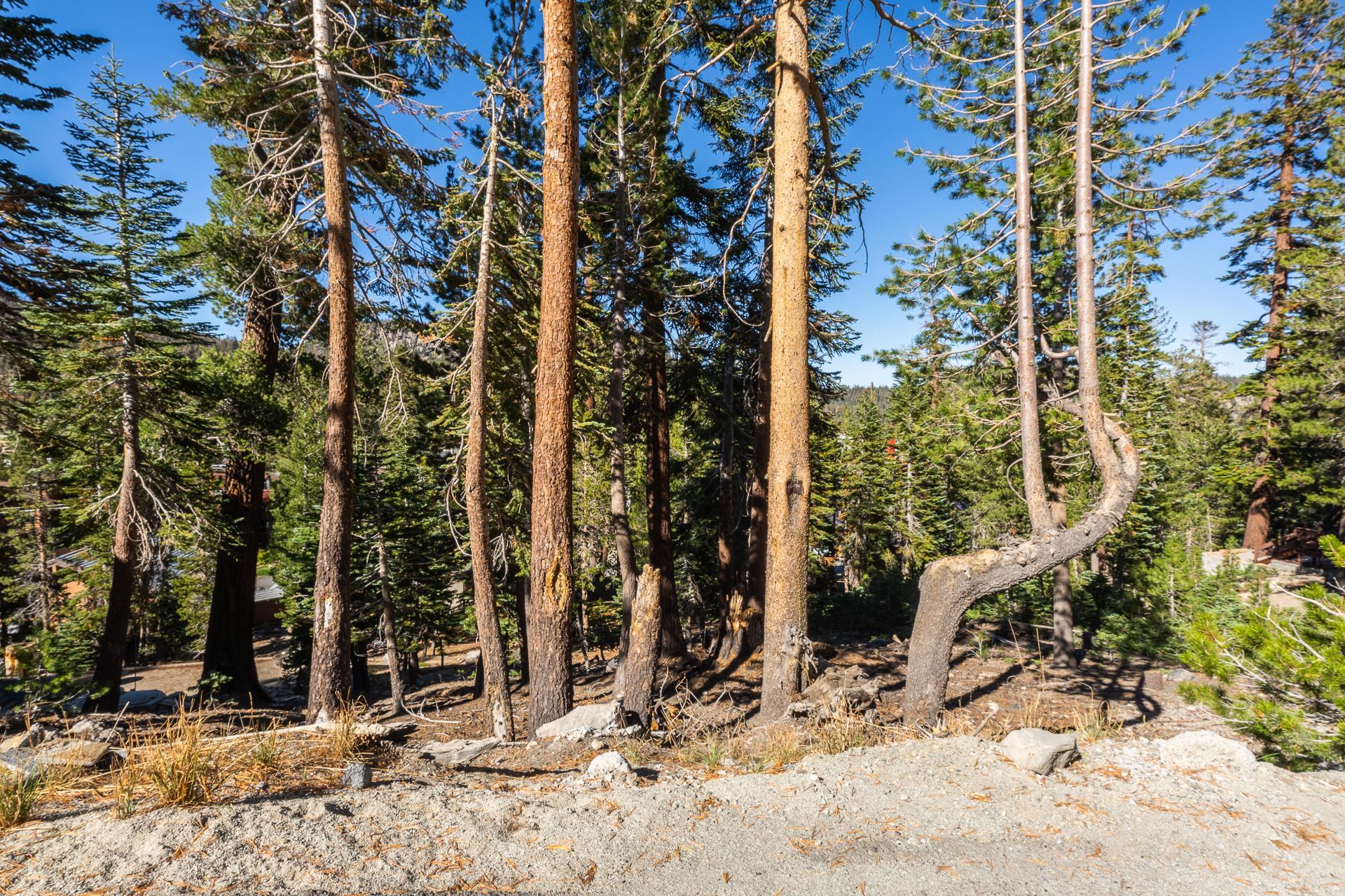 464 John Muir Road Mammoth Lakes, CA 93546 - Photo 4 of 27 a view of outdoor space with seating area