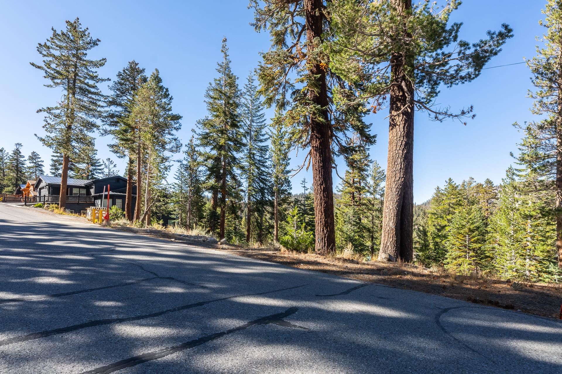 464 John Muir Road Mammoth Lakes, CA 93546 - Photo 10 of 27 a view of a yard and a fountain