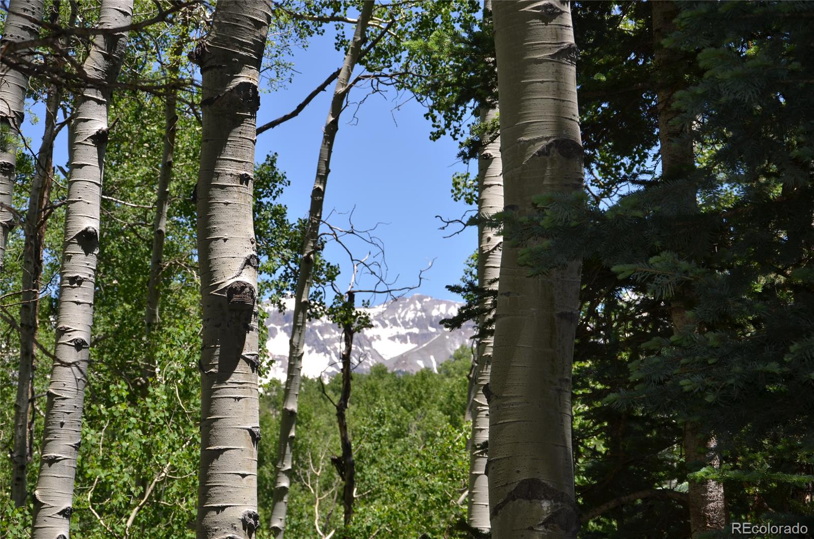 Wapeti Road Telluride, CO 81435 - Photo 7 of 12 Gallery Image 7