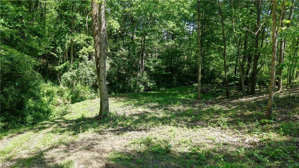 557 Beans Road Sherrodsville, OH 44675 - Photo 44 of 49