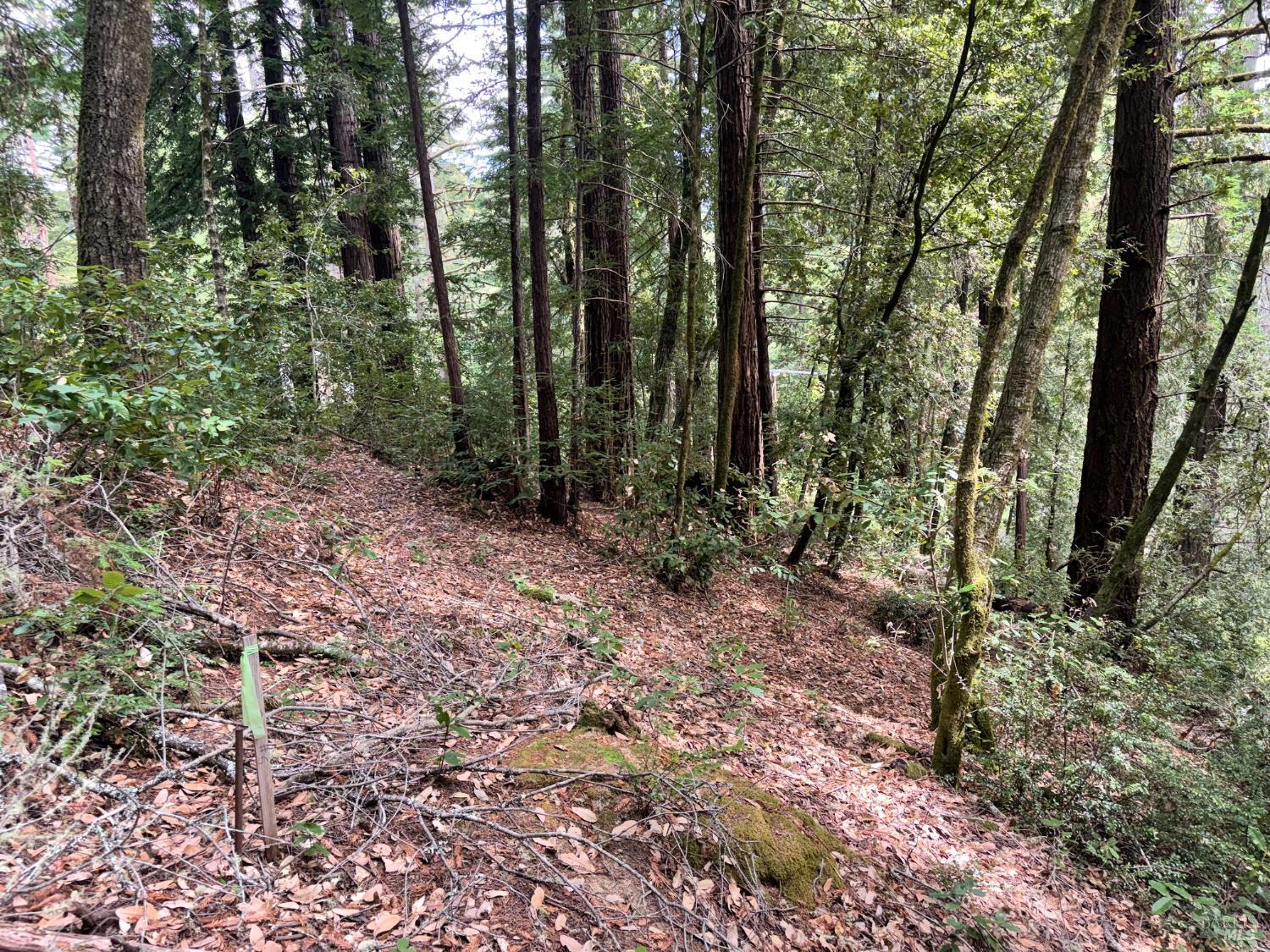 18190 Old Monte Rio Road Guerneville, CA 95446 - Photo 1 of 6 Gallery Image 1
