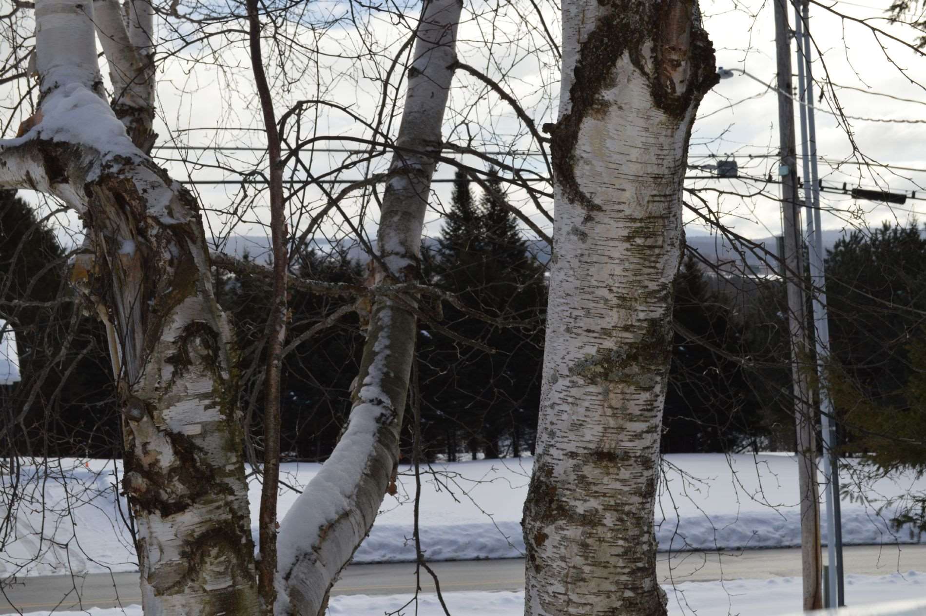 276 Beckley Hill Road Barre Town, VT 05641 - Photo 33 of 33 Gallery Image 33