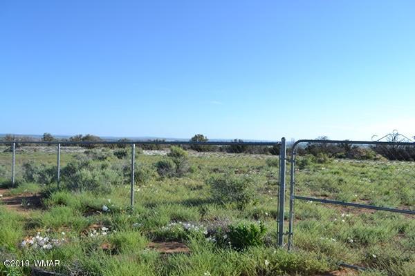 735 2300 North Snowflake, AZ 85937 - Photo 32 of 59 a view of a lush green outdoor space with a lake view and bushes