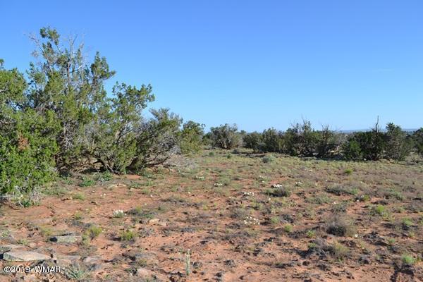 735 2300 North Snowflake, AZ 85937 - Photo 37 of 59 a view of a yard with a tree