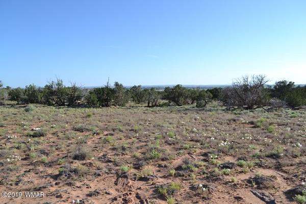 735 2300 North Snowflake, AZ 85937 - Photo 38 of 59 a view of a field with trees in background