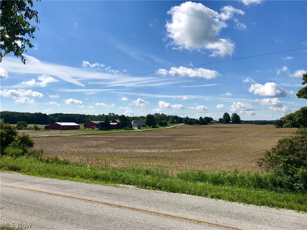 Swartz Road Mogadore, OH 44260 - Photo 2 of 18