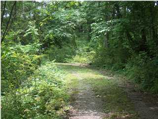 0 East Old Spencer Road Pikeville, TN 37367 - Photo 1 of 6 Primary Photo