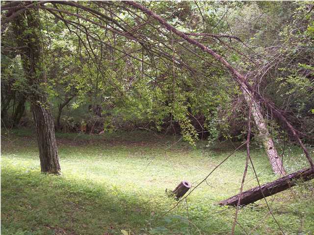 0 East Old Spencer Road Pikeville, TN 37367 - Photo 3 of 6 Additional Photo
