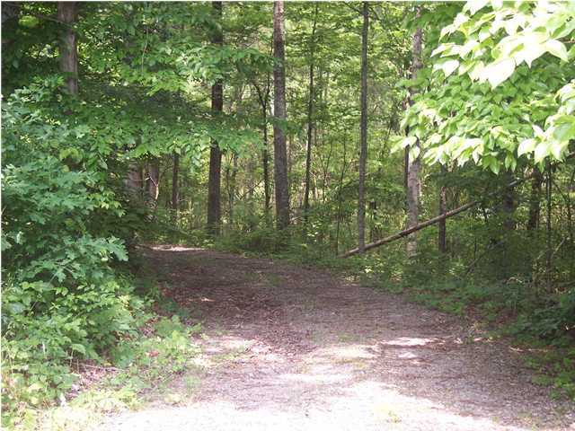 0 East Old Spencer Road Pikeville, TN 37367 - Photo 4 of 6 Additional Photo