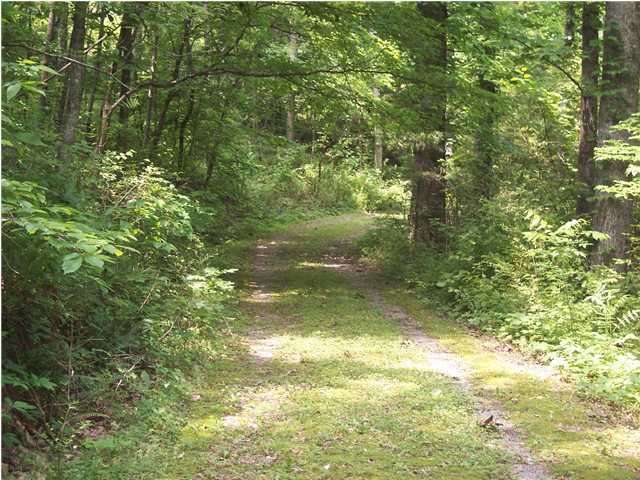 0 East Old Spencer Road Pikeville, TN 37367 - Photo 5 of 6 Additional Photo