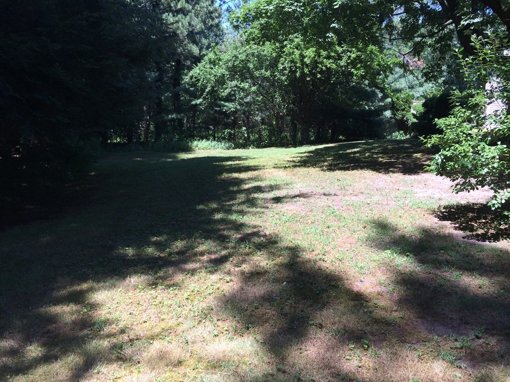 1 Lehigh Road Wellesley, MA 02482 - Photo 2 of 4