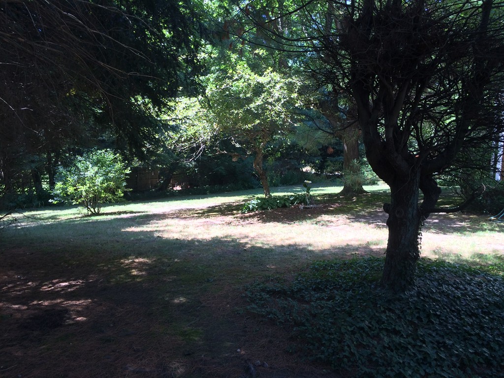 1 Lehigh Road Wellesley, MA 02482 - Photo 3 of 4
