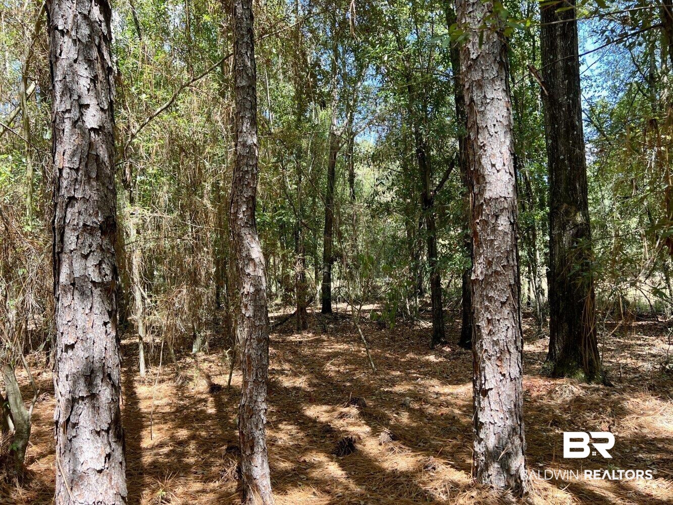 0 Howell Drive Mount Vernon, AL 36560 - Photo 13 of 50
