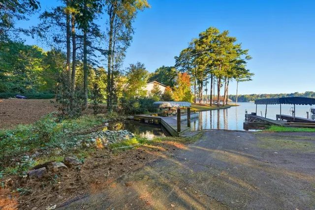 a view of backyard with large trees and plants