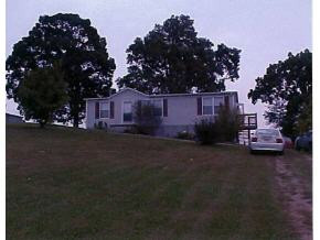 114 Beech Grove Road Telford, TN 37690 - Photo 1 of 1 Photo 1
