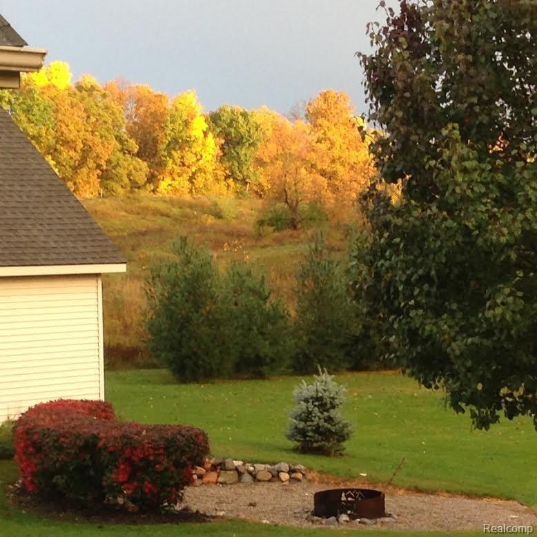 925 West Marr Road Howell, MI 48855 - Photo 25 of 35 Sunlight on trees.jpg