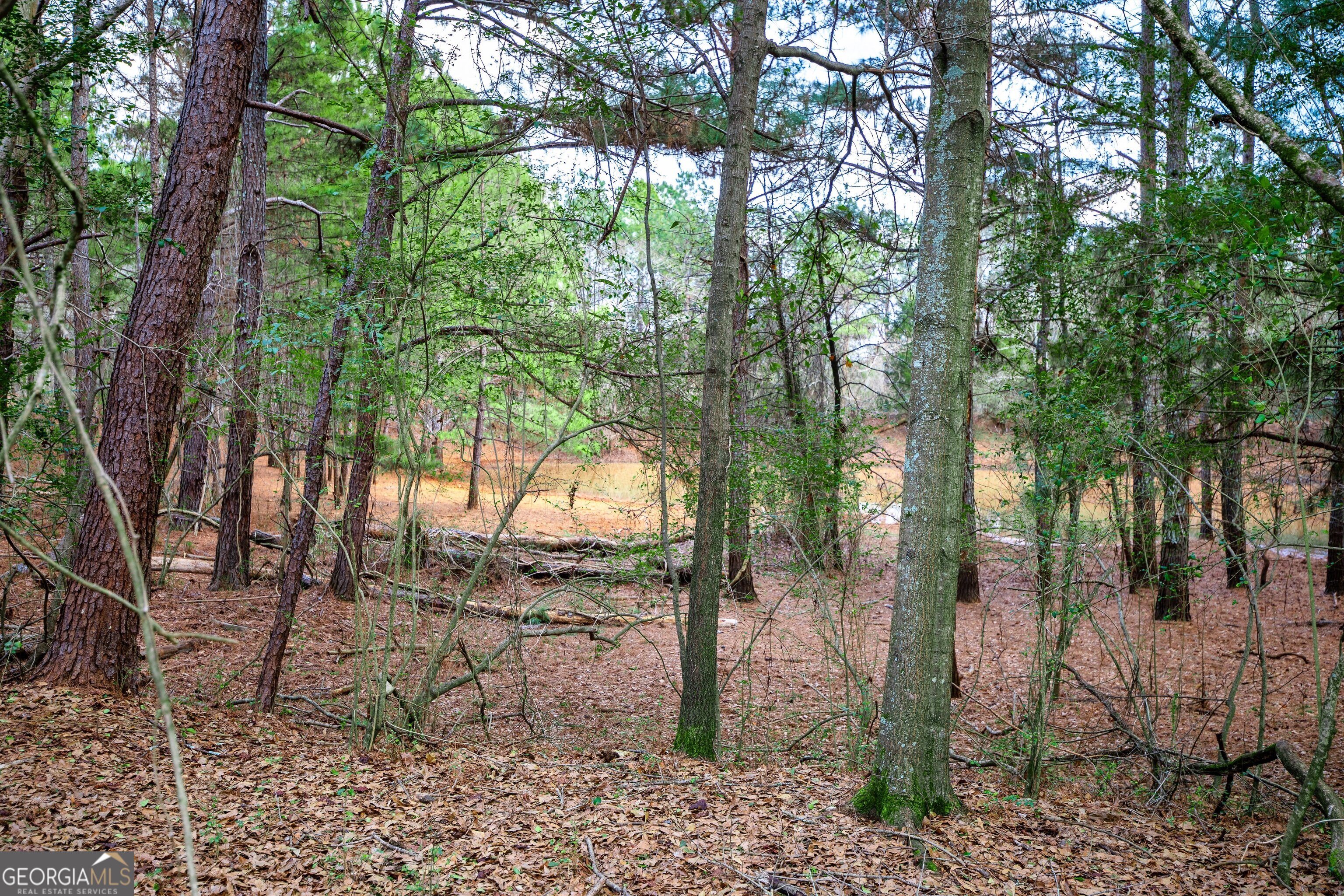 25 Trinity Road Thomaston, GA 30286 - Photo 15 of 21