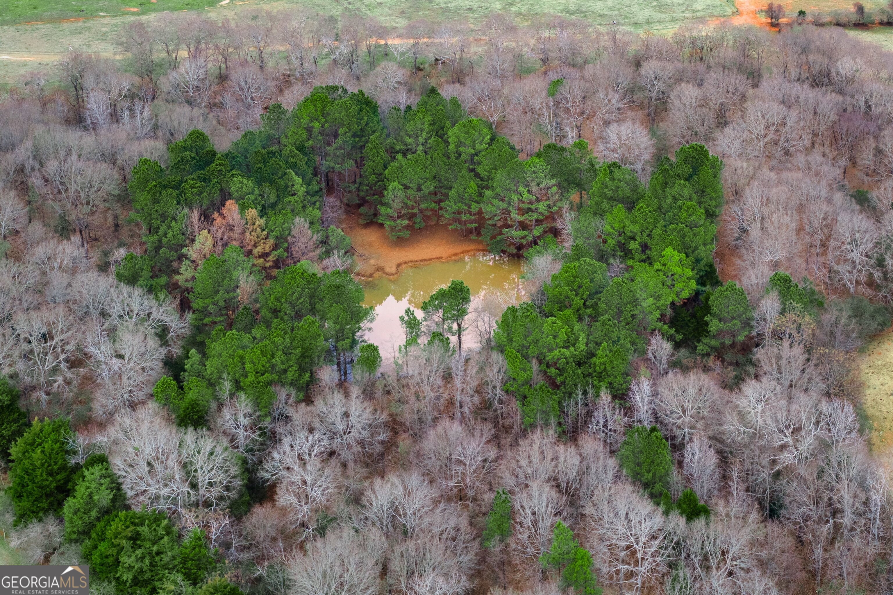 25 Trinity Road Thomaston, GA 30286 - Photo 4 of 21