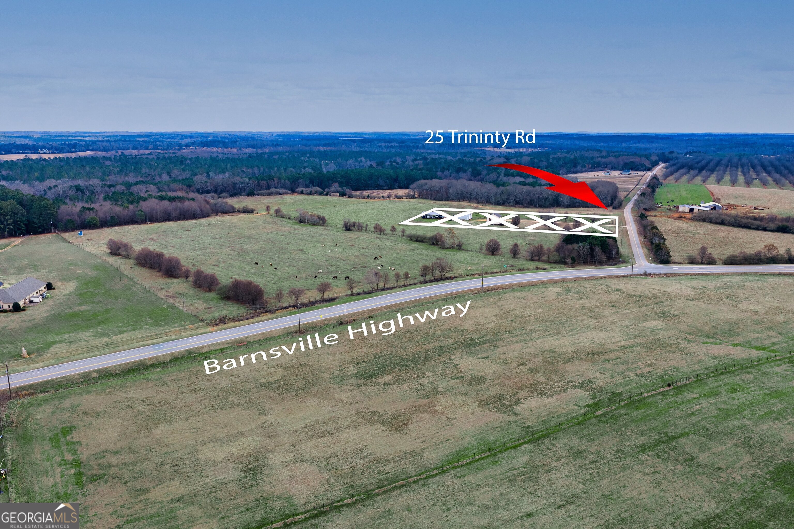 25 Trinity Road Thomaston, GA 30286 - Photo 5 of 21