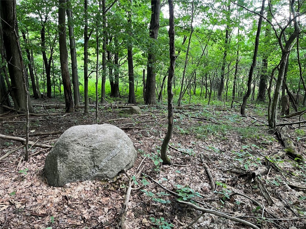 Bates Road Sinclairville, NY 14782 - Photo 14 of 22 Gallery Image 14
