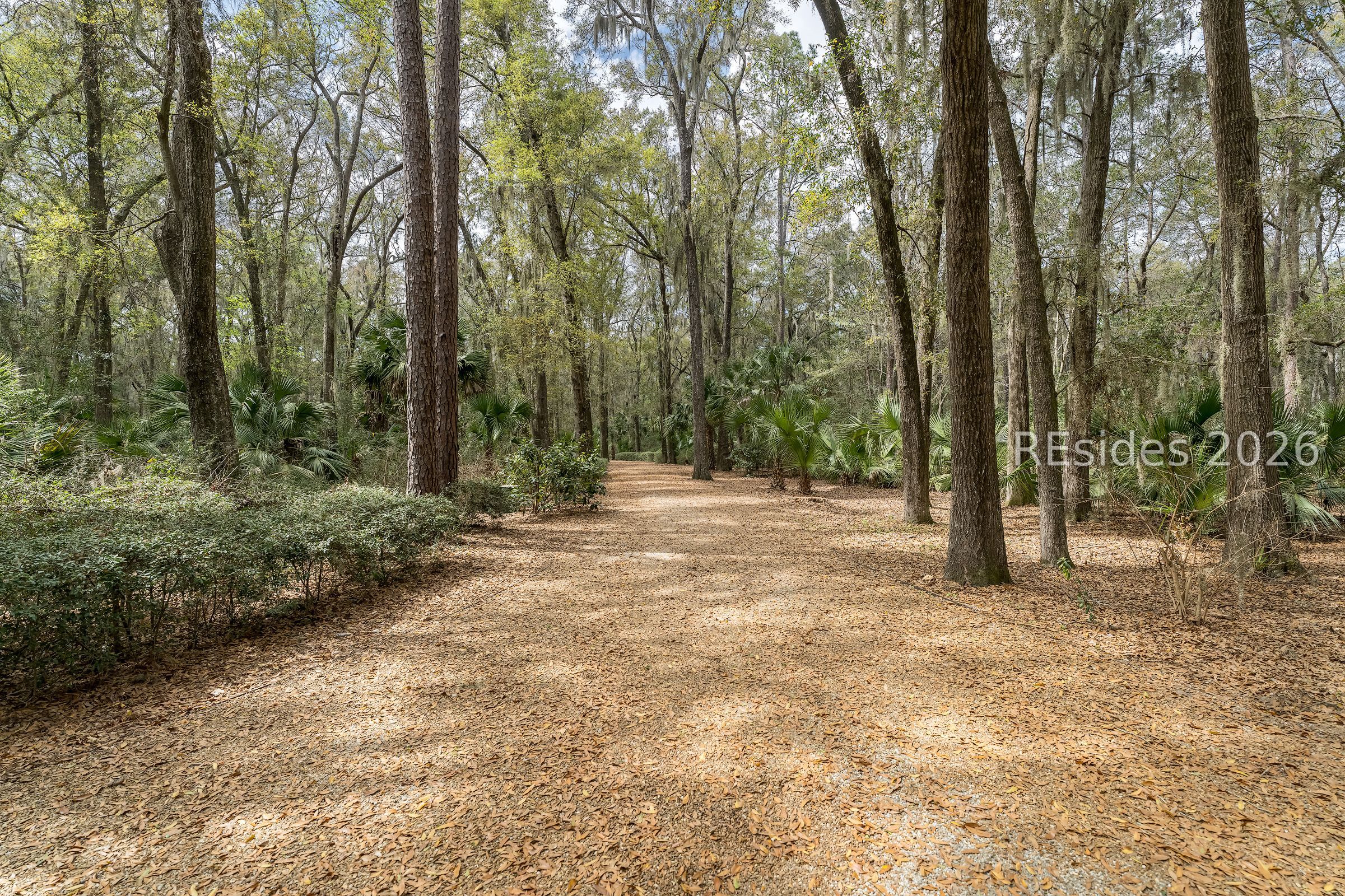 206 Spring Island Drive Okatie, SC 29909 - Photo 2 of 12