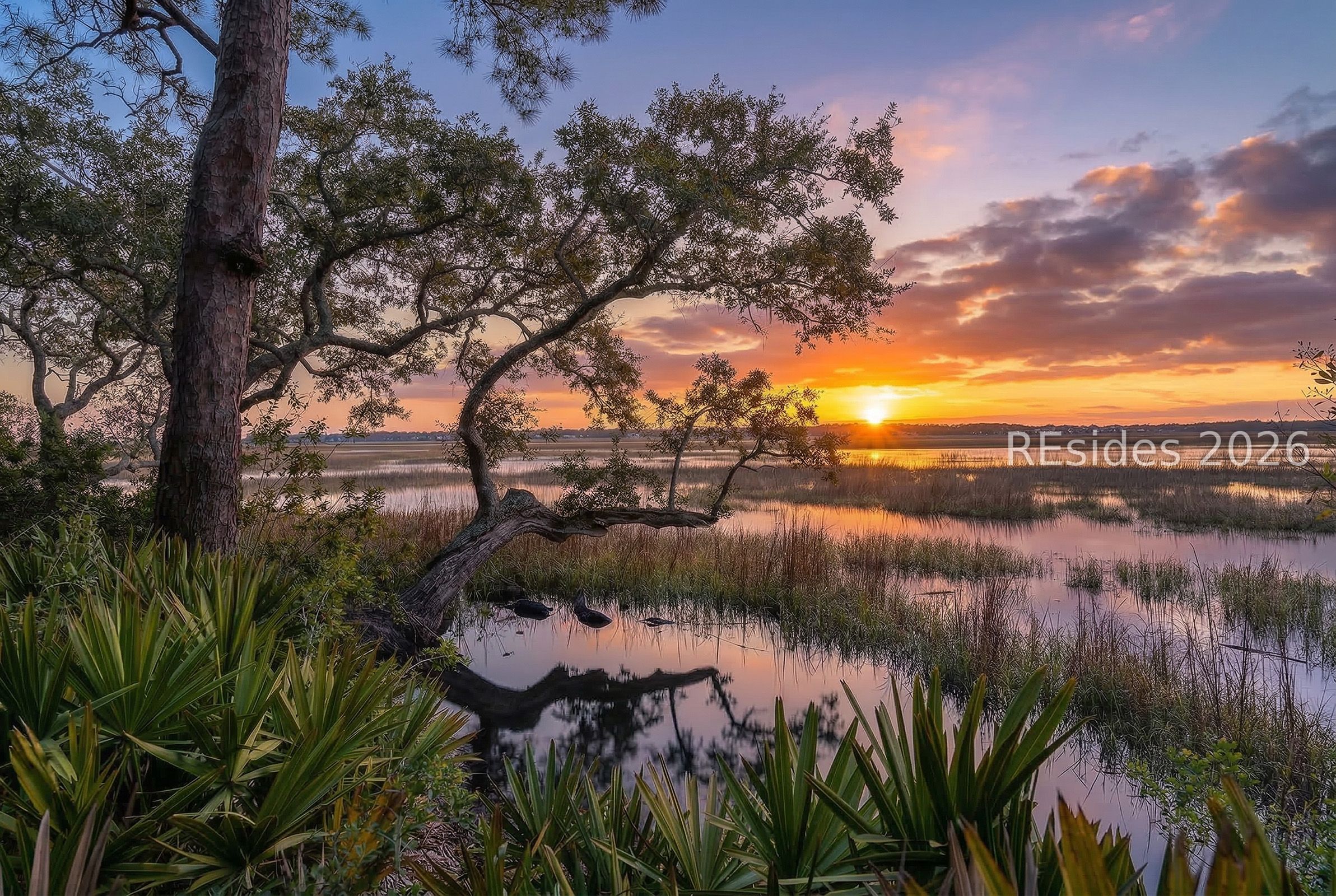 206 Spring Island Drive Okatie, SC 29909 - Photo 4 of 12