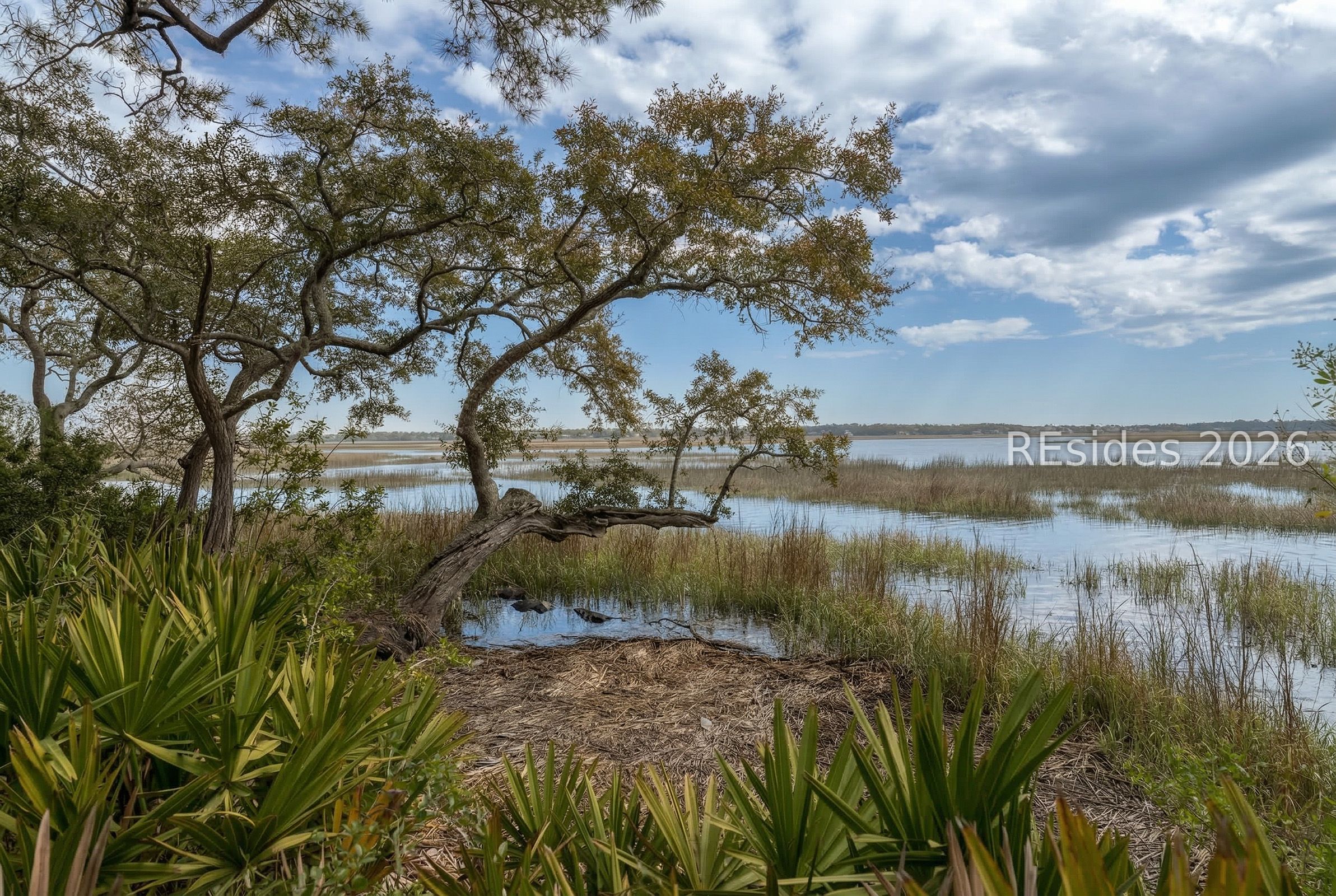 206 Spring Island Drive Okatie, SC 29909 - Photo 5 of 12