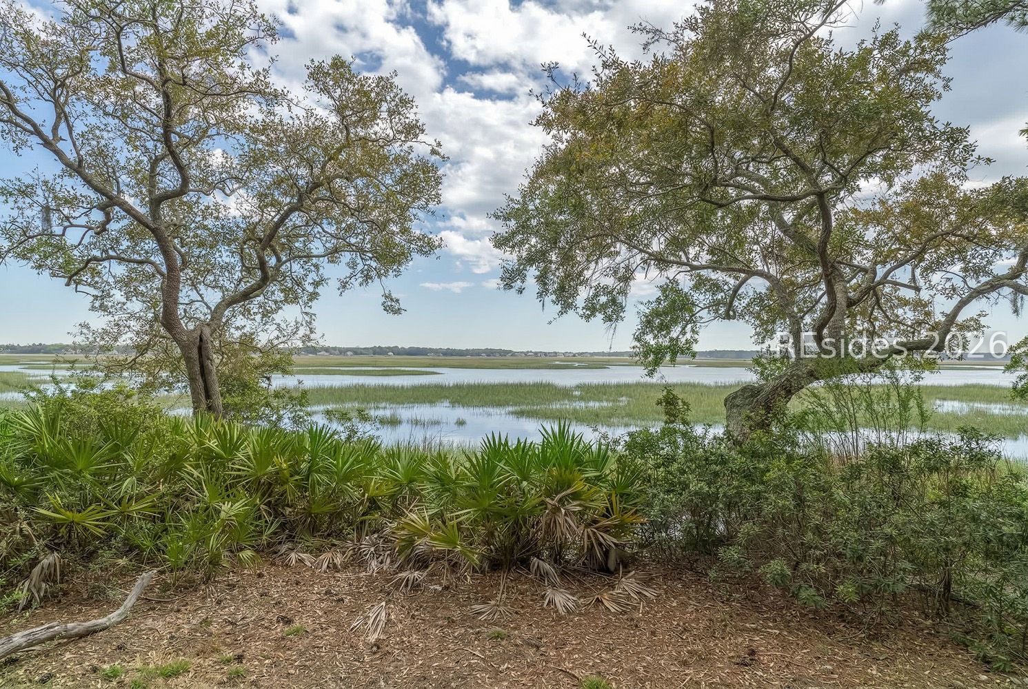 206 Spring Island Drive Okatie, SC 29909 - Photo 6 of 12
