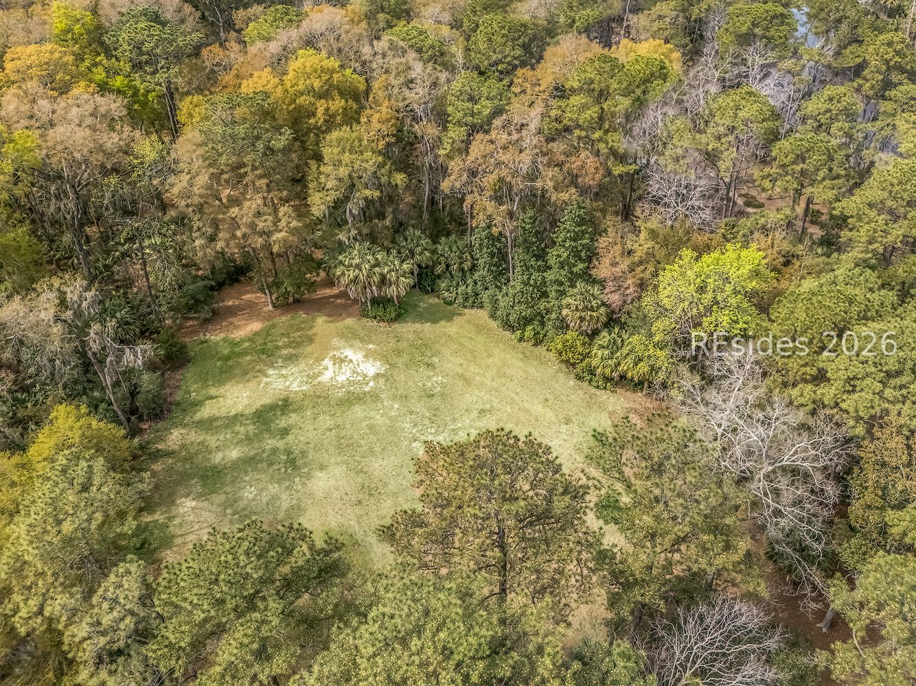 206 Spring Island Drive Okatie, SC 29909 - Photo 7 of 12