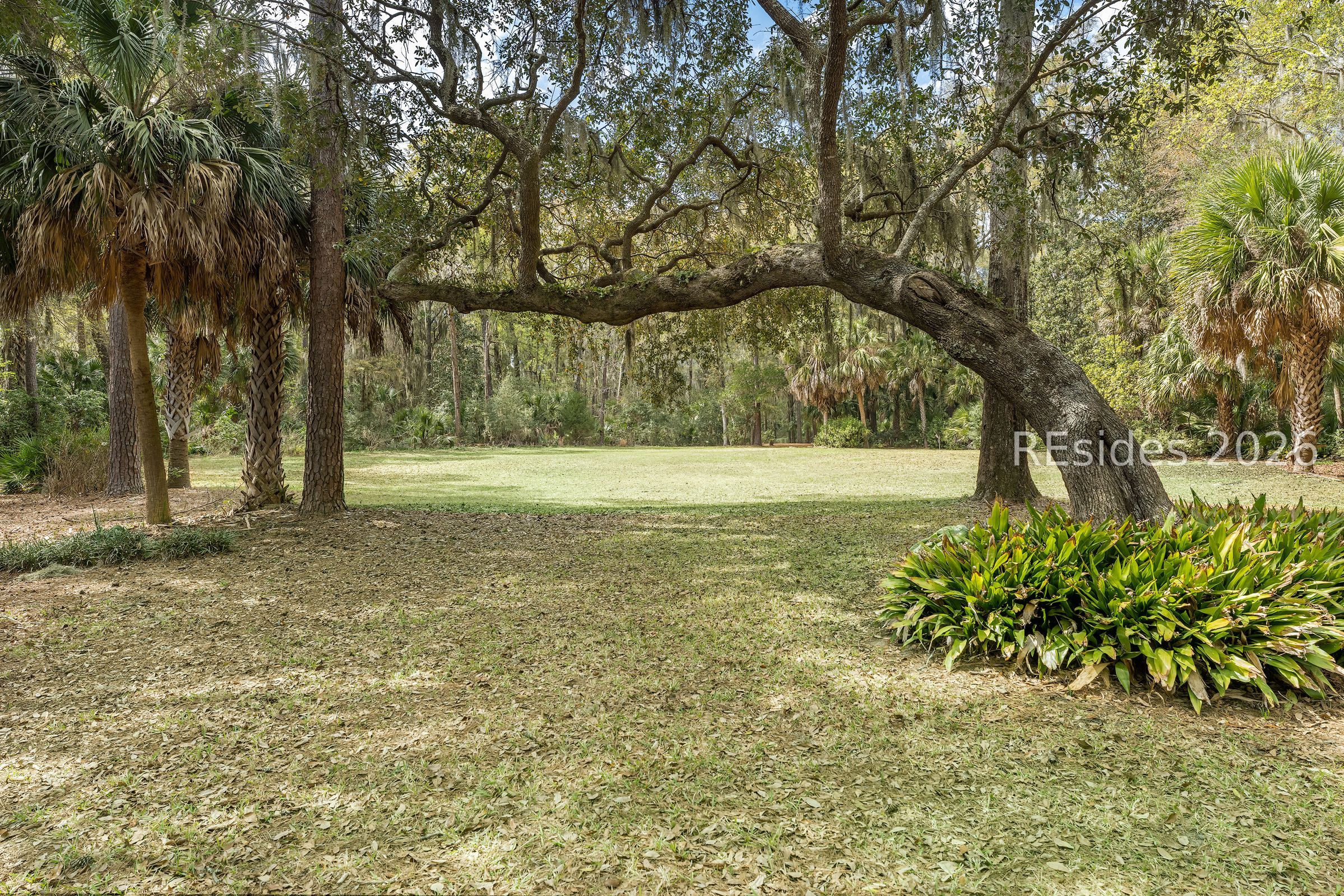 206 Spring Island Drive Okatie, SC 29909 - Photo 8 of 12