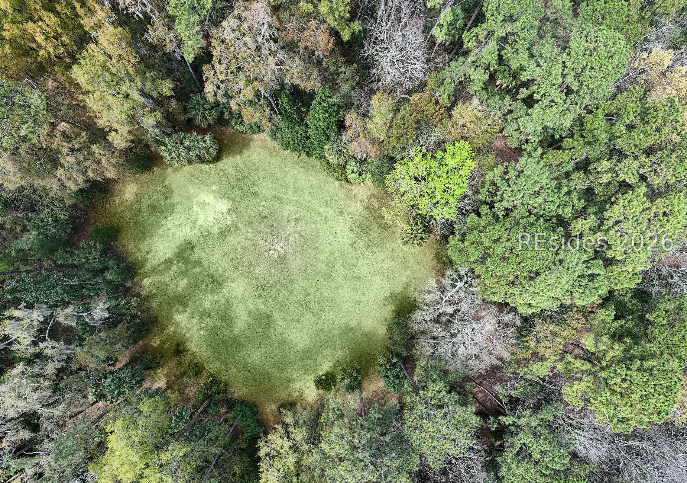 206 Spring Island Drive Okatie, SC 29909 - Photo 9 of 12