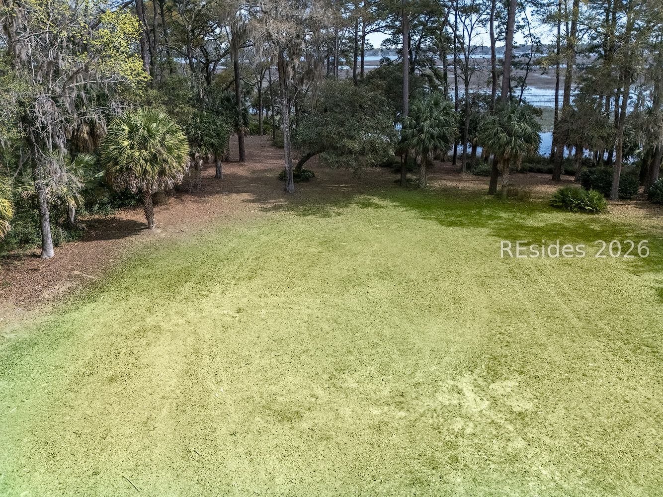 206 Spring Island Drive Okatie, SC 29909 - Photo 10 of 12