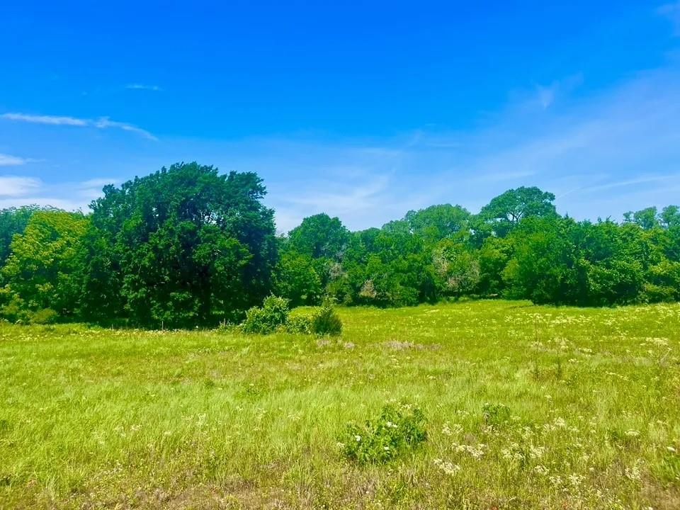 Lot 100 Arlow Road Poolville, TX 76487 - Photo 3 of 3 View of nature featuring a rural view