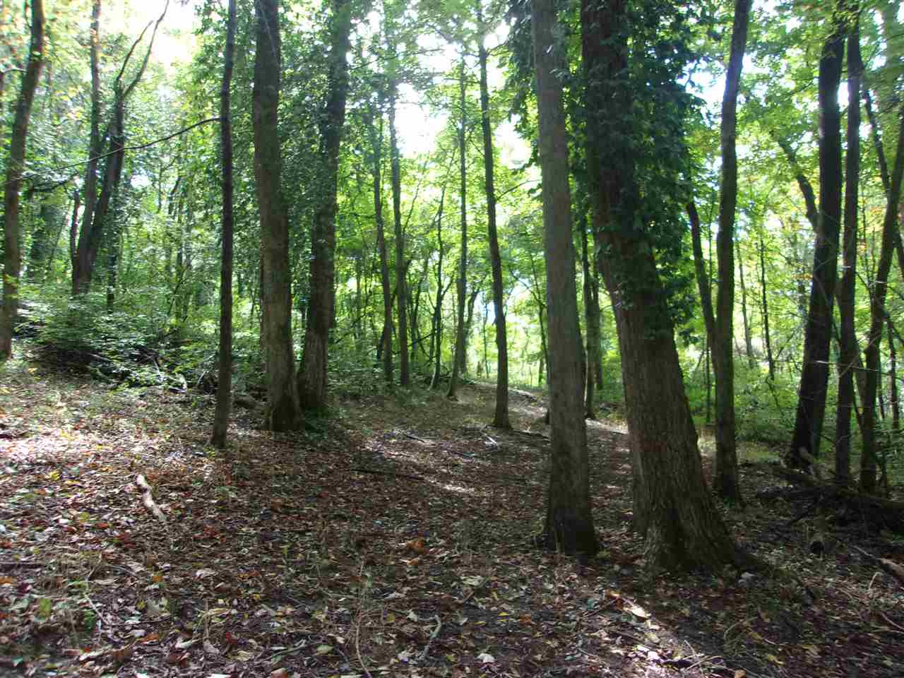 30-acres Dover Road Augusta, KY 41002 - Photo 36 of 50 Gallery Image 36