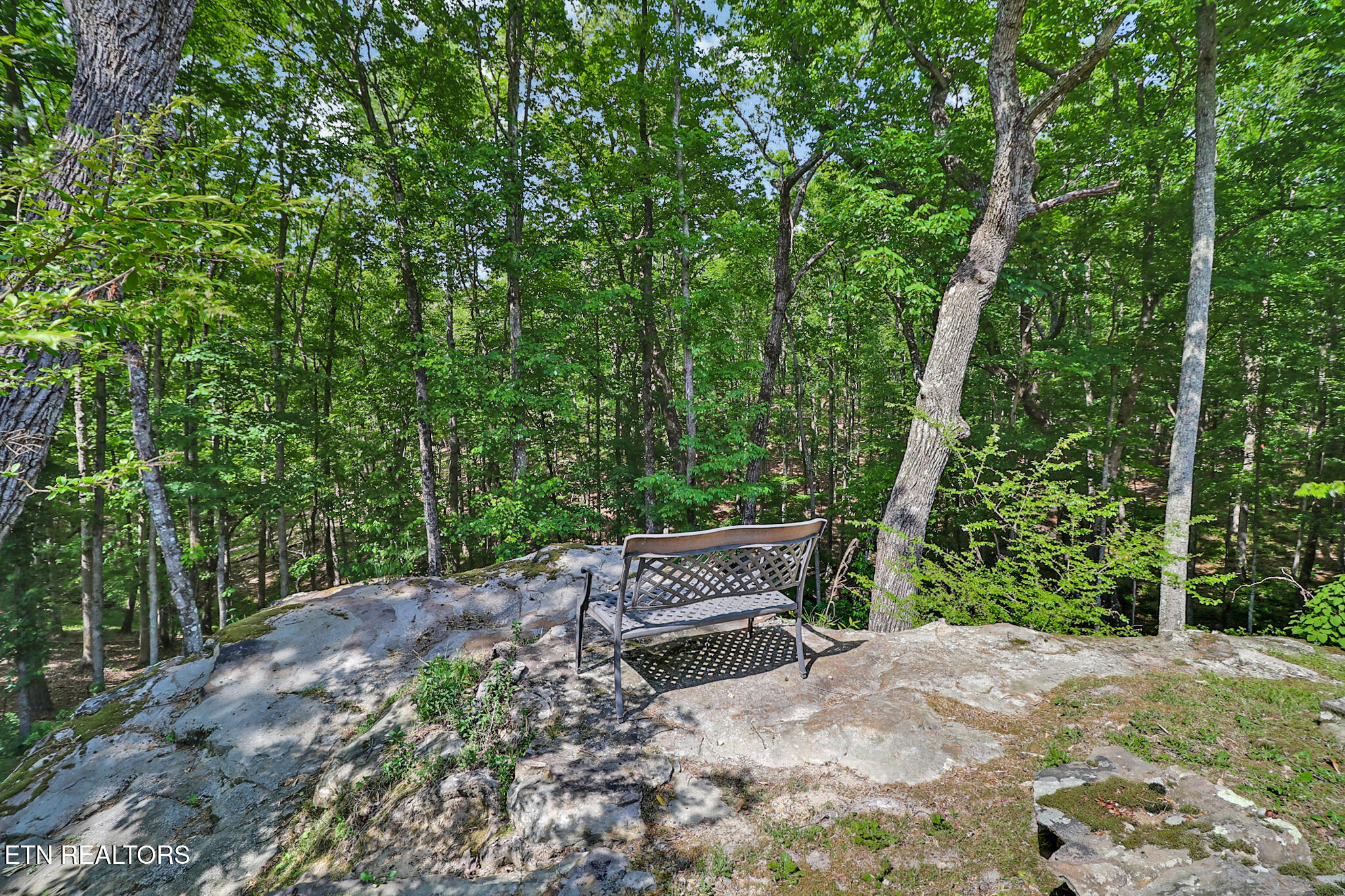 598 Ted Brooks Road Jamestown, TN 38556 - Photo 44 of 51 n44a4753-n44a4757