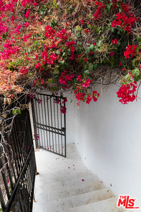 1515 Murray Circle Los Angeles, CA 90026 - Photo 38 of 40 a picture of flowers
