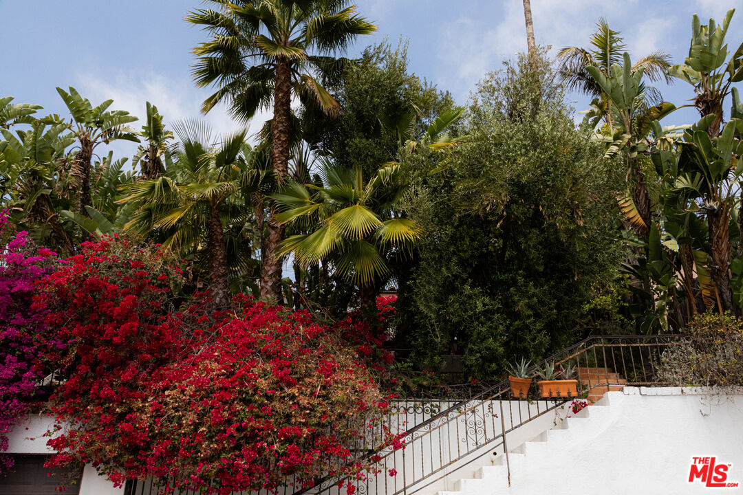 1515 Murray Circle Los Angeles, CA 90026 - Photo 40 of 40 a view of a flower in a yard
