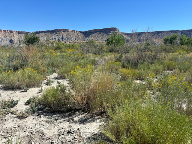 1950 East Highway 24 Torrey, UT 84775 - Photo 14 of 19