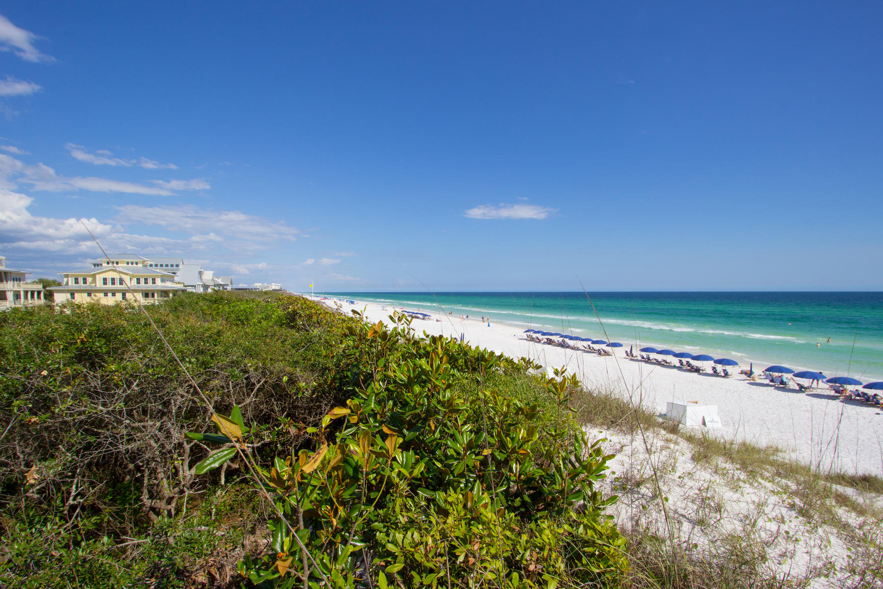 95 Pine Needle Way Santa Rosa Beach, FL 32459 - Photo 83 of 90 WaterColor-5