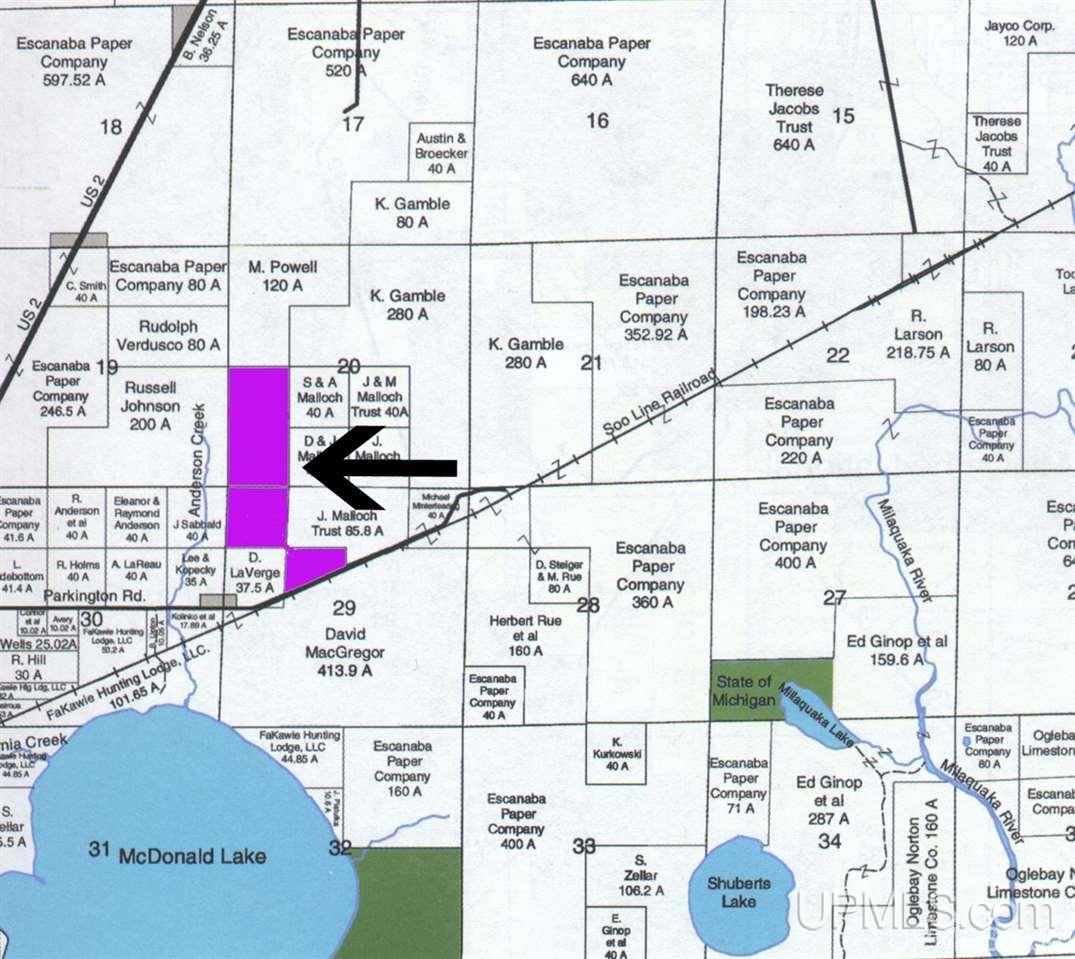 Tbd 140 Acres Off Parkington Road Gulliver, MI 49840 - Photo 4 of 11