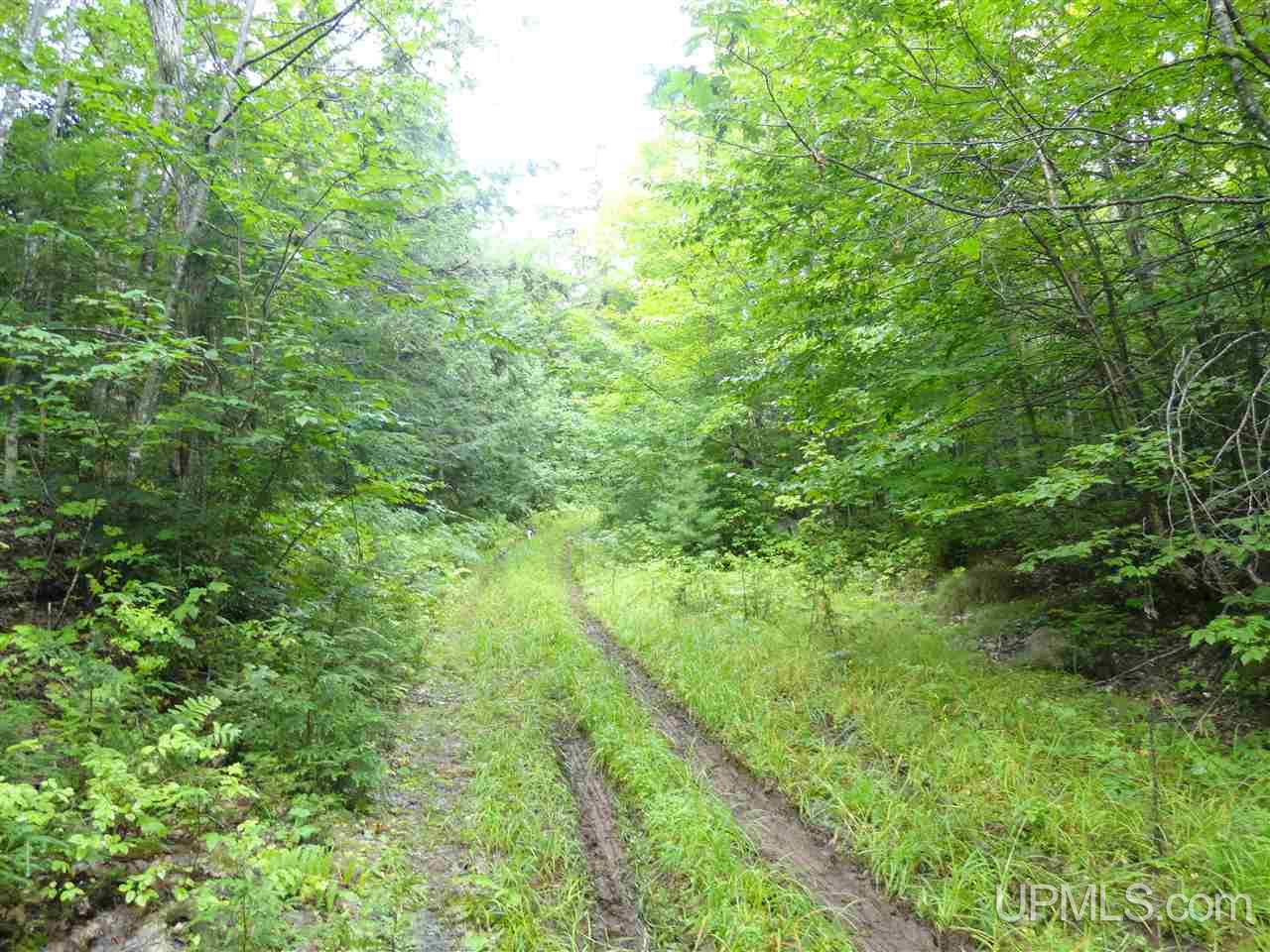 510 Rd Marquette Mi 49855 Road Negaunee, MI 49866 - Photo 7 of 26