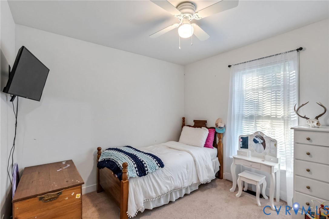 7195 Railroad Bed Road Carson, VA 23830 - Photo 23 of 28