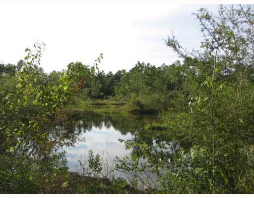 13120 Wolf Ridge Road Moss Point, MS 39562 - Photo 4 of 4 Additional Photo