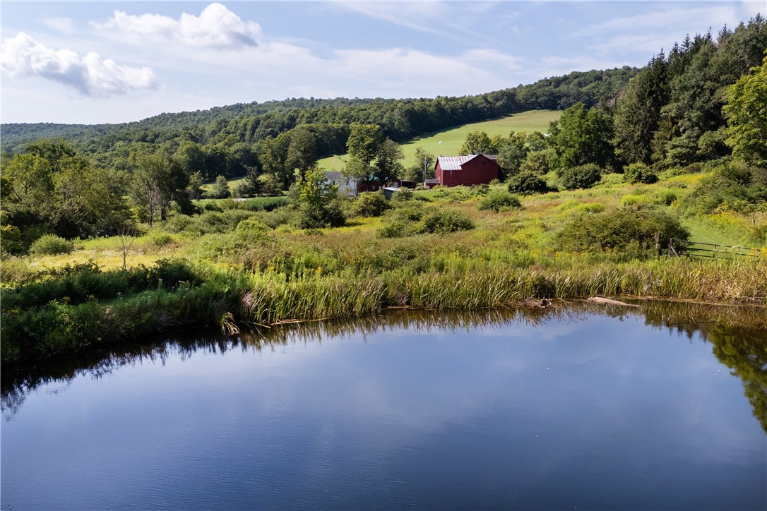 280 West Peakes Brook Road Meredith, NY 13753 - Photo 37 of 50 Gallery Image 37