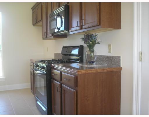 301 Marle Loop Folsom, LA 70437 - Photo 3 of 8 Gallery Image 3