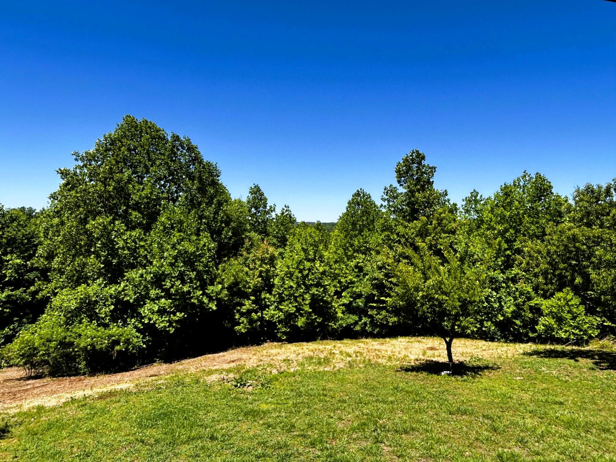 161 Willie Shell Road Reliance, TN 37369 - Photo 10 of 70 willie shell views